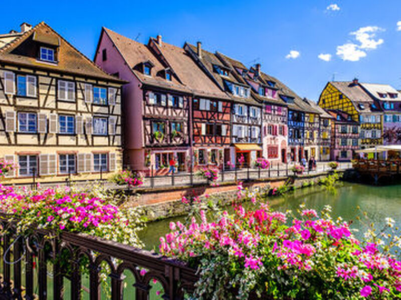 ALSACE'LI ALPLER 2026 YAZ (BGY - BSL) - Görsel 4