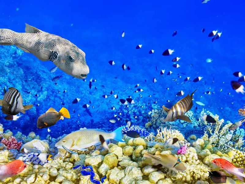 Baştanbaşa Mısır Masalı (Hurghada – Kahire – Sharm) 8 Gece – 9 Gün (7 Gece Otel Konaklaması) 1