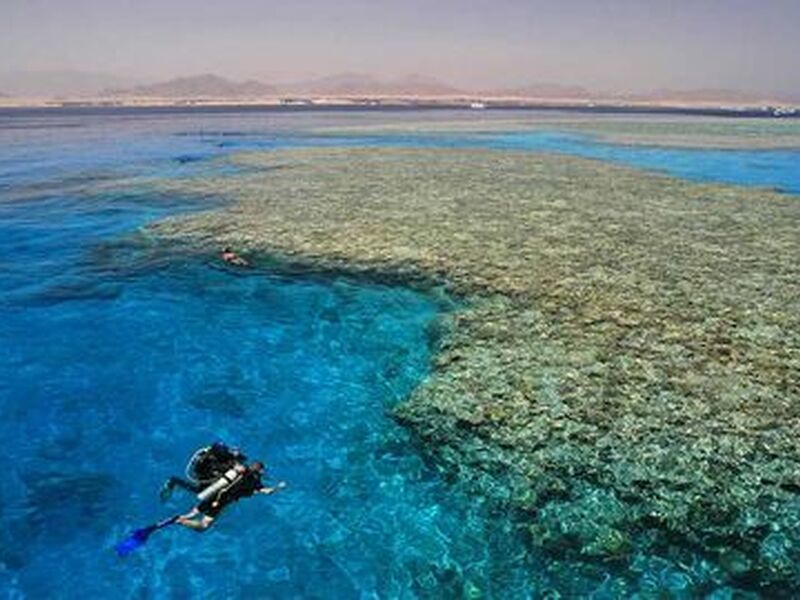 Baştanbaşa Mısır Masalı (Sharm – Kahire – Hurghada) 8 Gece – 9 Gün (7 Gece Otel Konaklaması) - Görsel 5