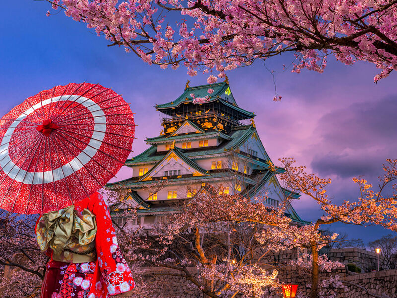 BÜYÜK JAPONYA 2026 6 GECE ANA (HND-HND) 2