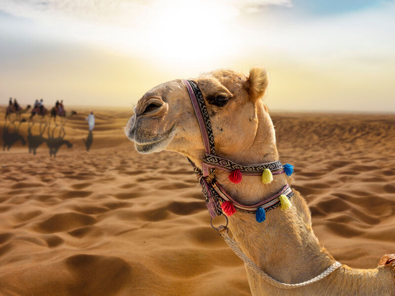 Dubai Serüveni Fly Dubai Hava Yolları ile 3 Gece 2026 Dönemi 3