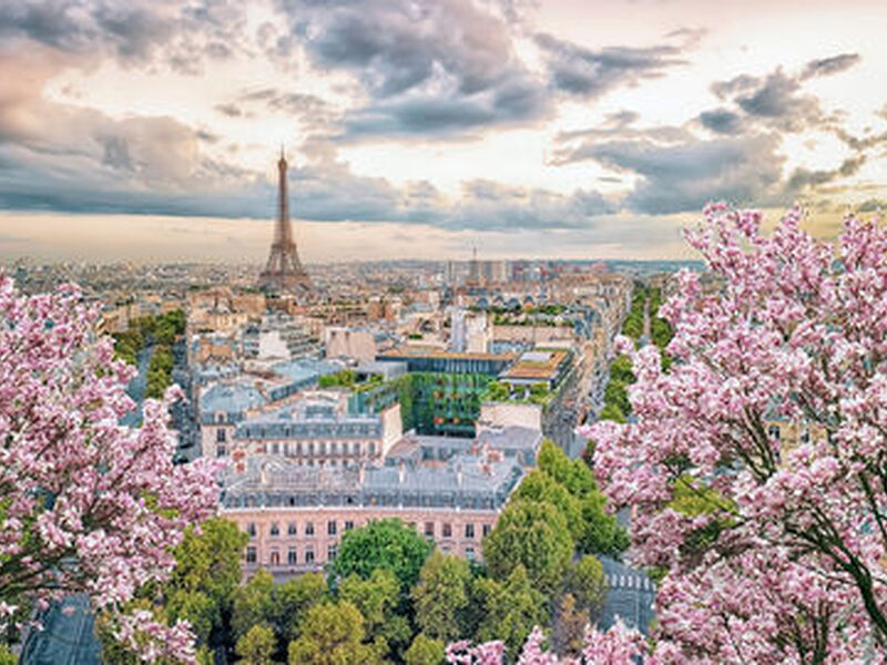 Görkemli Dörtlü Benelüx & İsviçre & Fransa & Almanya 7 Gece - THY ile (2026 Yaz Dönemi) (BSL - DUS) AT-1303 3