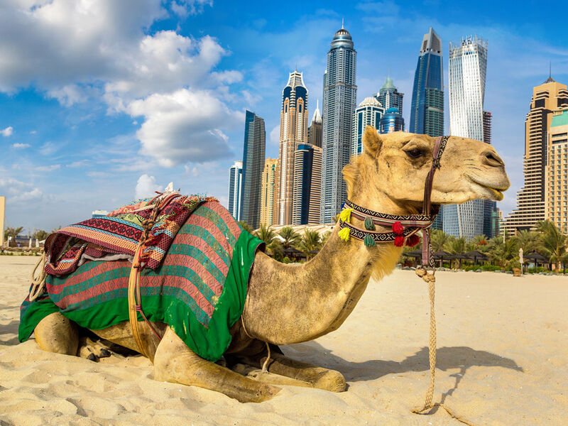 Görkemli Dubai & Lüksün Başkenti 3 Gece - AJET ile (2026 İlkbahar-Yaz Dönemi) AT1334 - Görsel 5