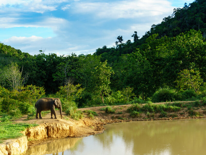 SRİ LANKA TK 2026 (CMB-CMB) 3