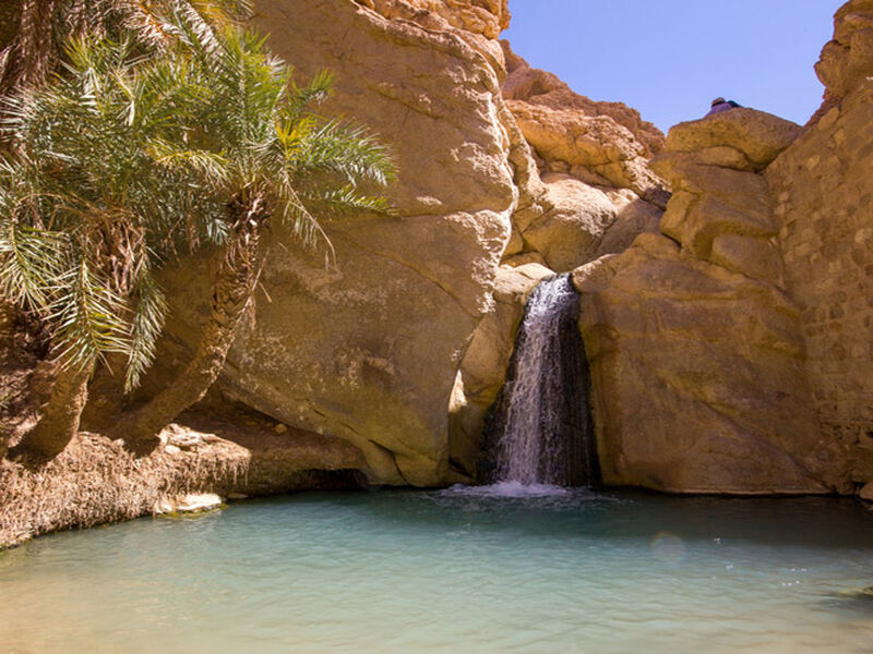 TUNUS  TK  2026 (TUN-TUN) 2